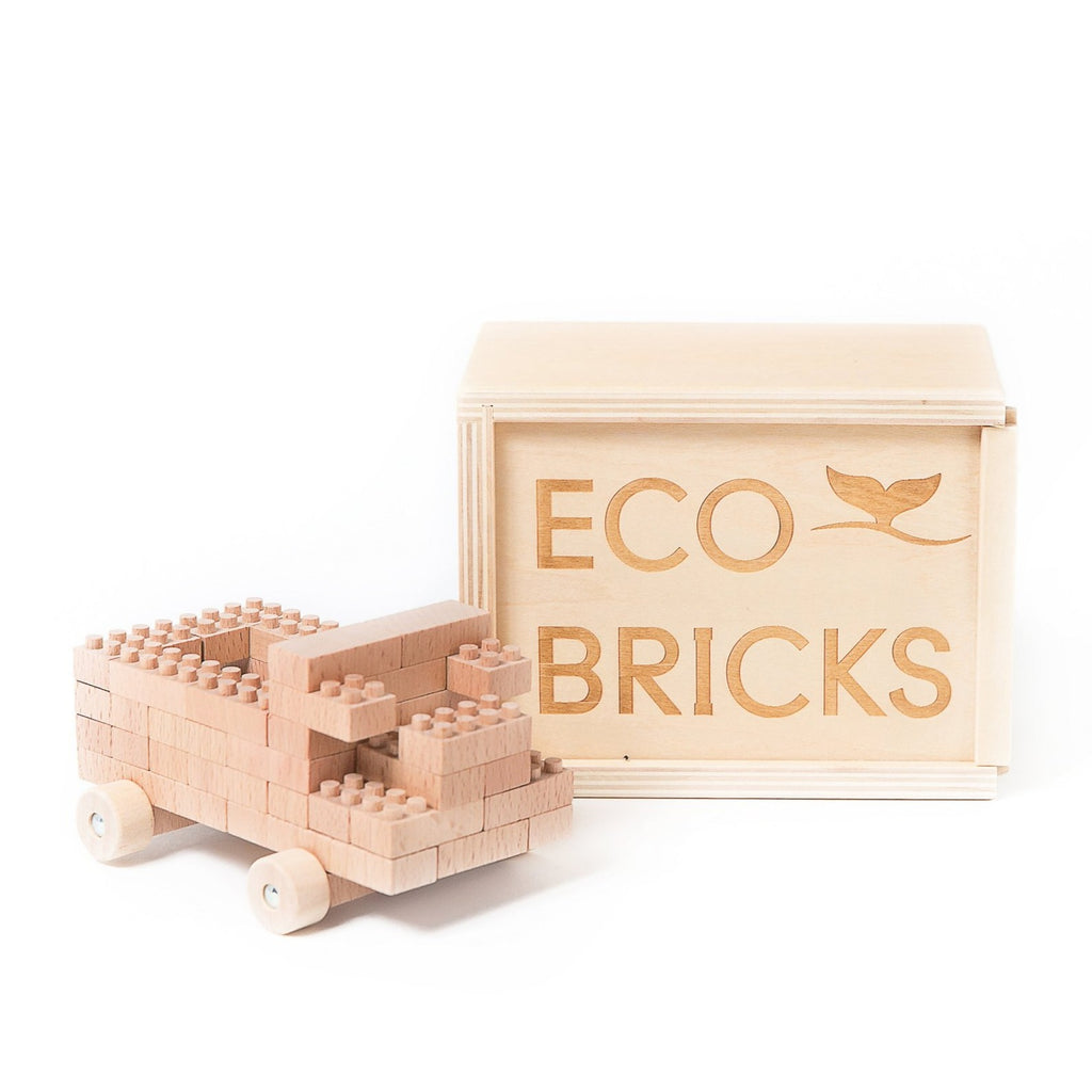 Eco-Bricks 45 pcs