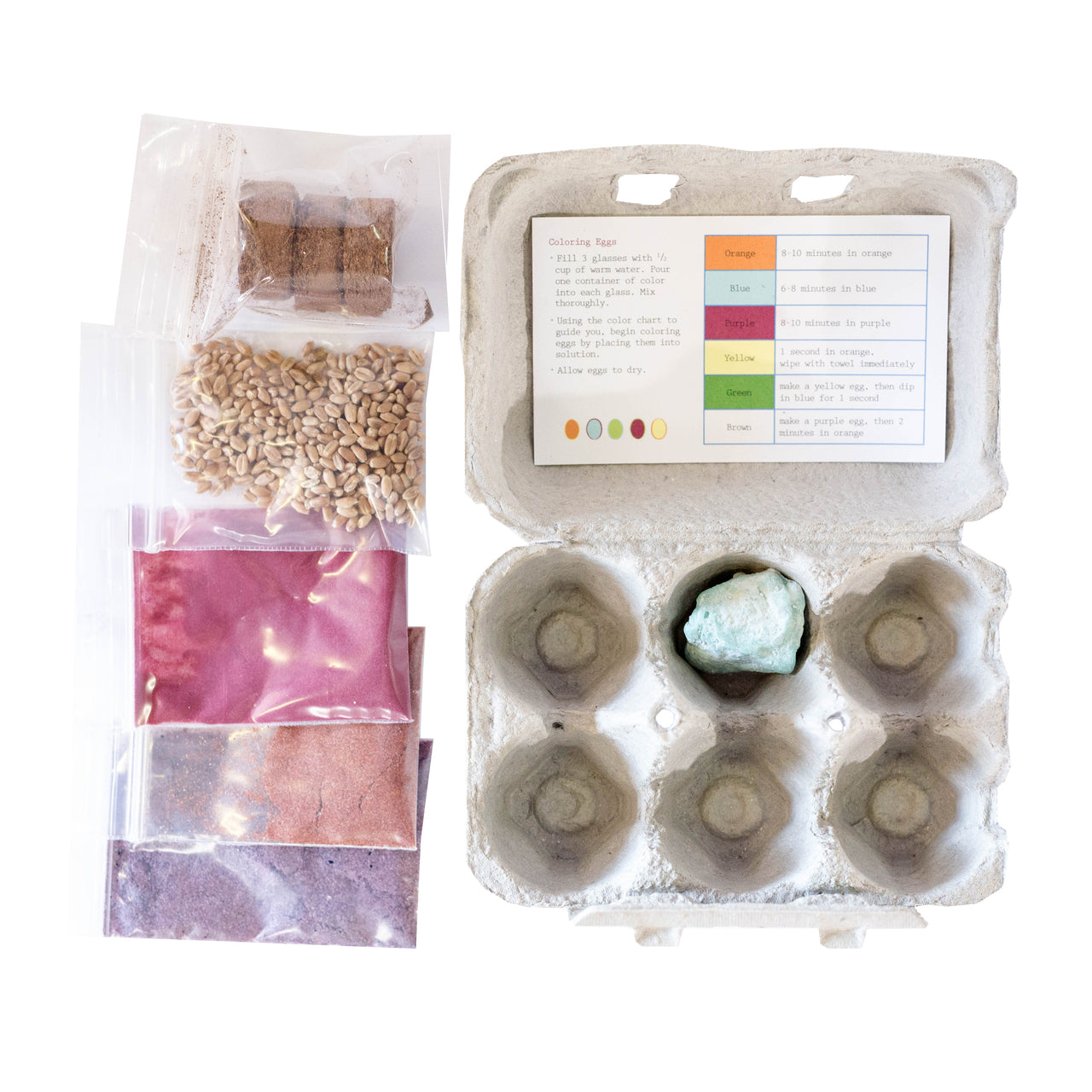 Eco-Kids Eco-Eggs Coloring and Grass Growing Kit